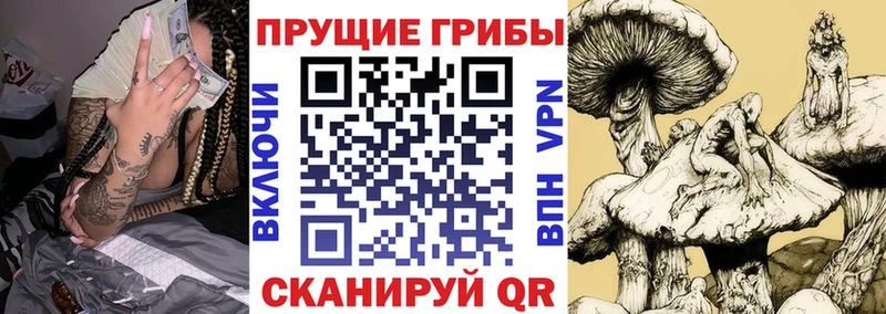 Псилоцибиновые грибы ЛСД  где продают наркотики  Уфа 